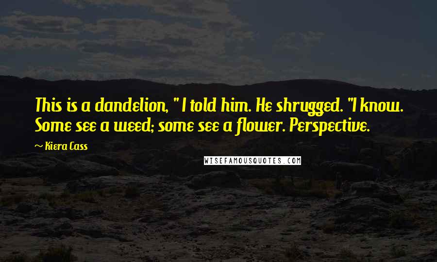 Kiera Cass Quotes: This is a dandelion, " I told him. He shrugged. "I know. Some see a weed; some see a flower. Perspective.