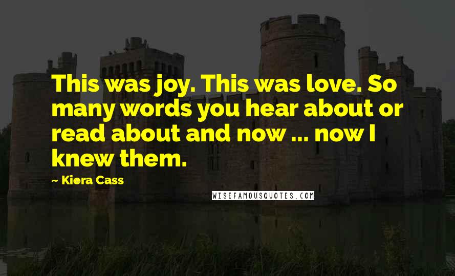 Kiera Cass Quotes: This was joy. This was love. So many words you hear about or read about and now ... now I knew them.