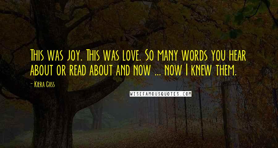 Kiera Cass Quotes: This was joy. This was love. So many words you hear about or read about and now ... now I knew them.