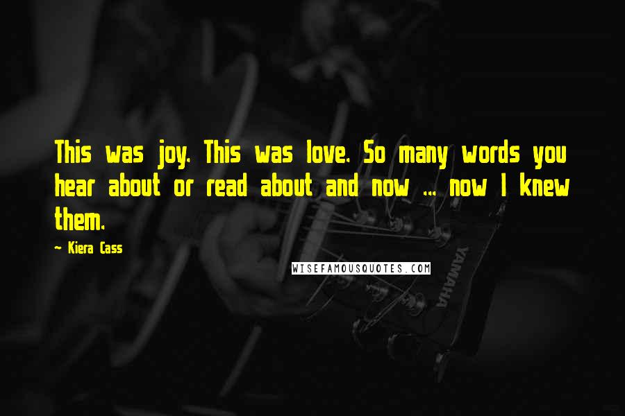 Kiera Cass Quotes: This was joy. This was love. So many words you hear about or read about and now ... now I knew them.