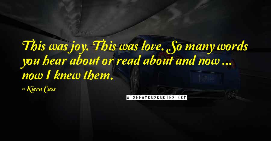 Kiera Cass Quotes: This was joy. This was love. So many words you hear about or read about and now ... now I knew them.