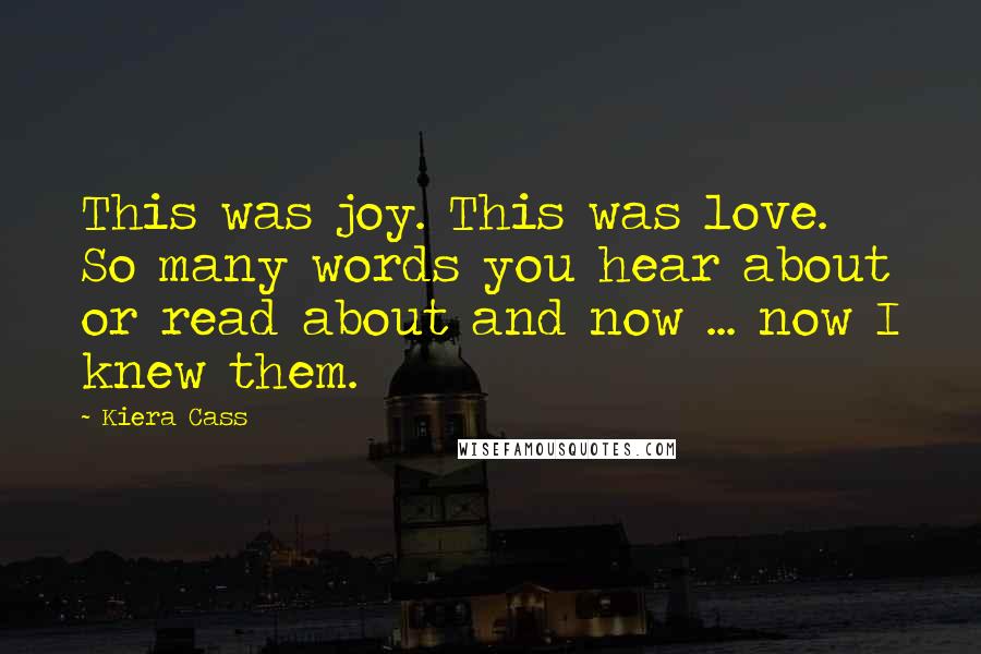 Kiera Cass Quotes: This was joy. This was love. So many words you hear about or read about and now ... now I knew them.