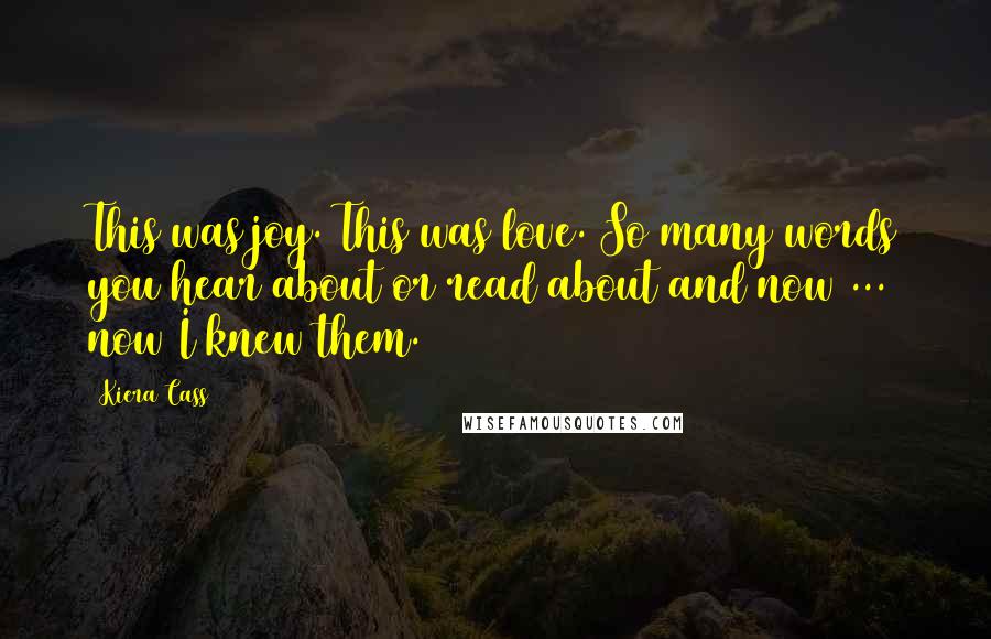 Kiera Cass Quotes: This was joy. This was love. So many words you hear about or read about and now ... now I knew them.