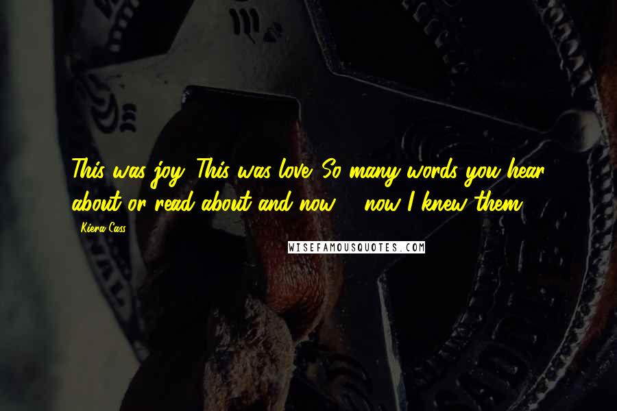 Kiera Cass Quotes: This was joy. This was love. So many words you hear about or read about and now ... now I knew them.