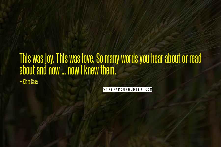 Kiera Cass Quotes: This was joy. This was love. So many words you hear about or read about and now ... now I knew them.