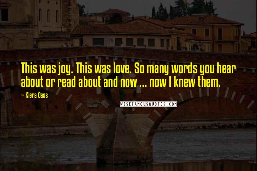 Kiera Cass Quotes: This was joy. This was love. So many words you hear about or read about and now ... now I knew them.