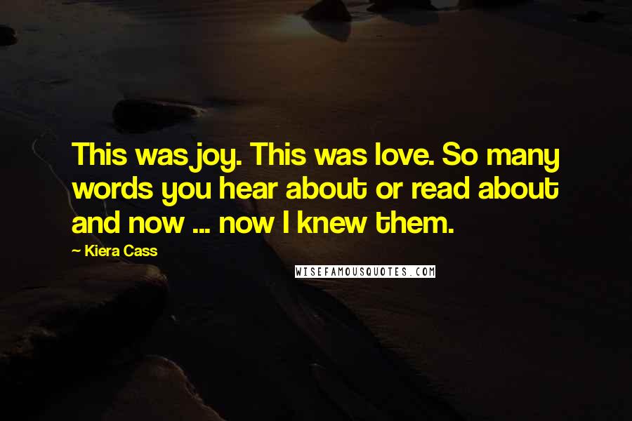 Kiera Cass Quotes: This was joy. This was love. So many words you hear about or read about and now ... now I knew them.