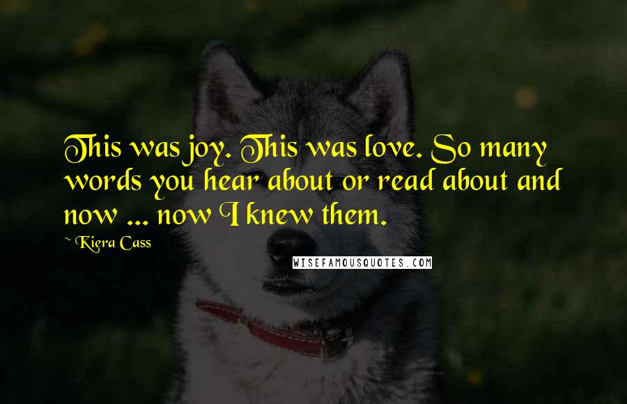 Kiera Cass Quotes: This was joy. This was love. So many words you hear about or read about and now ... now I knew them.