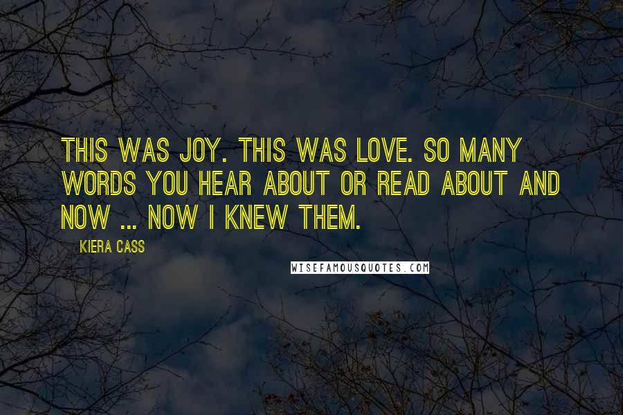 Kiera Cass Quotes: This was joy. This was love. So many words you hear about or read about and now ... now I knew them.