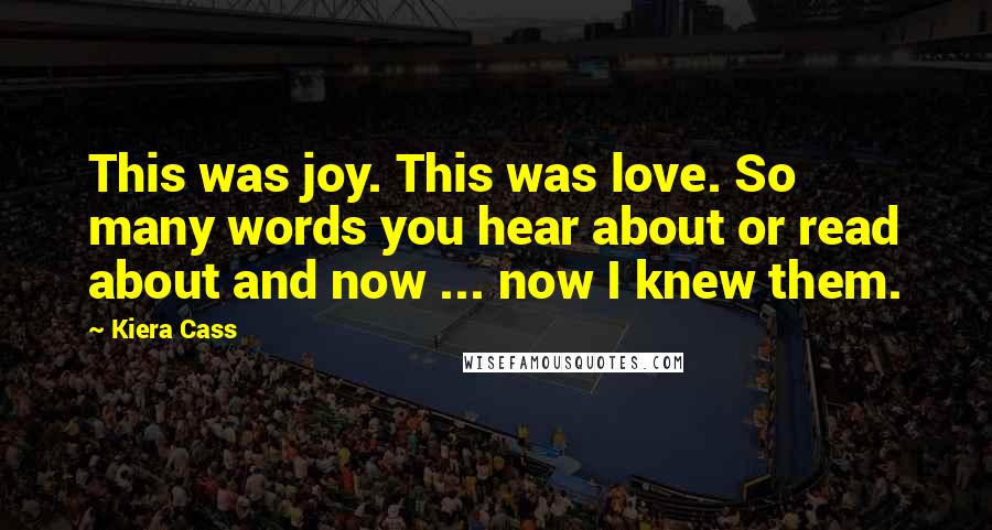 Kiera Cass Quotes: This was joy. This was love. So many words you hear about or read about and now ... now I knew them.