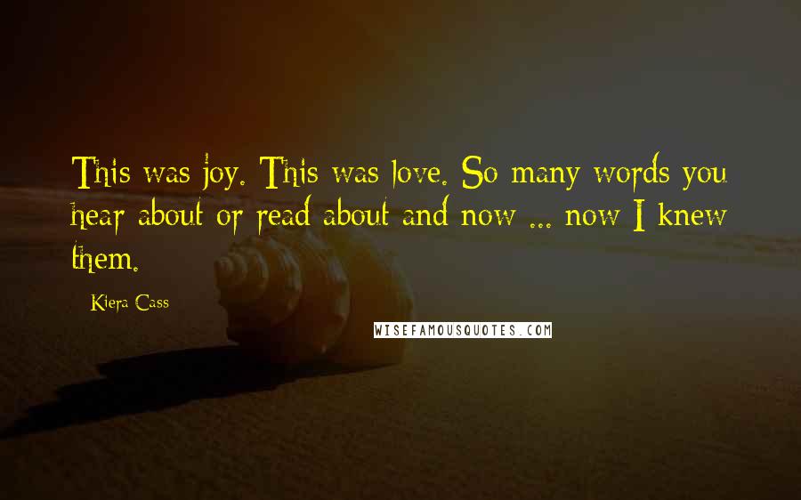 Kiera Cass Quotes: This was joy. This was love. So many words you hear about or read about and now ... now I knew them.