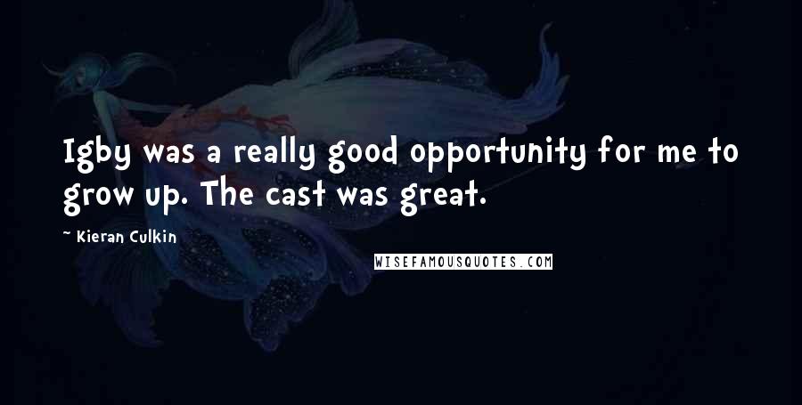 Kieran Culkin Quotes: Igby was a really good opportunity for me to grow up. The cast was great.