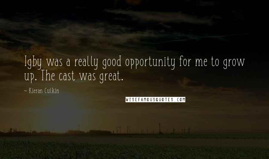 Kieran Culkin Quotes: Igby was a really good opportunity for me to grow up. The cast was great.