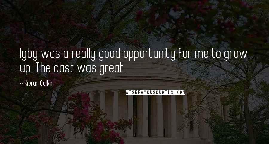 Kieran Culkin Quotes: Igby was a really good opportunity for me to grow up. The cast was great.