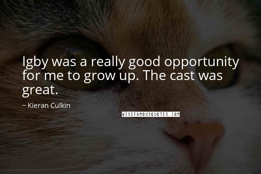 Kieran Culkin Quotes: Igby was a really good opportunity for me to grow up. The cast was great.