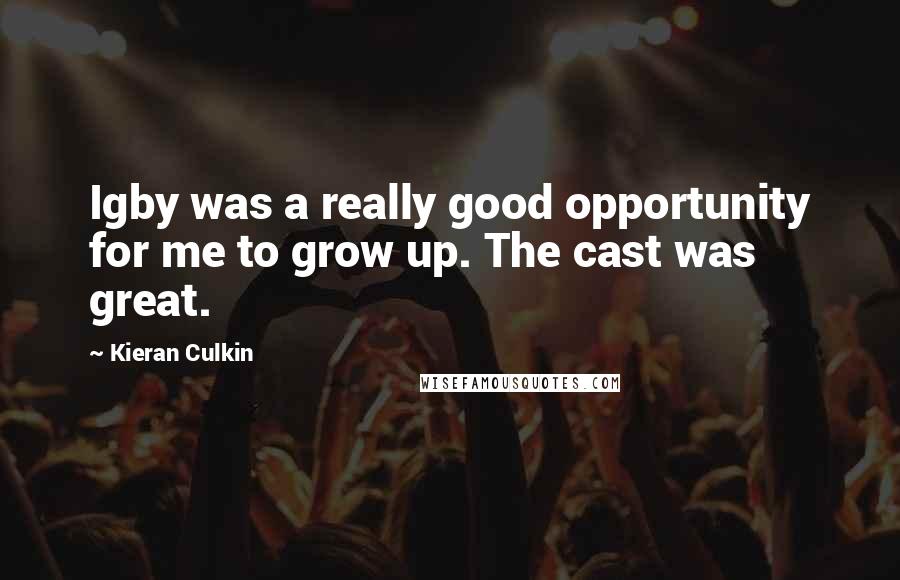 Kieran Culkin Quotes: Igby was a really good opportunity for me to grow up. The cast was great.