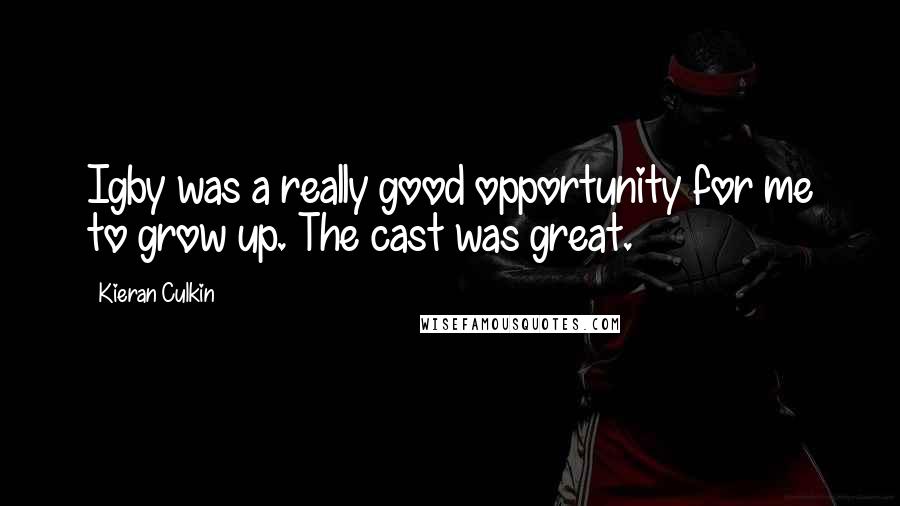 Kieran Culkin Quotes: Igby was a really good opportunity for me to grow up. The cast was great.