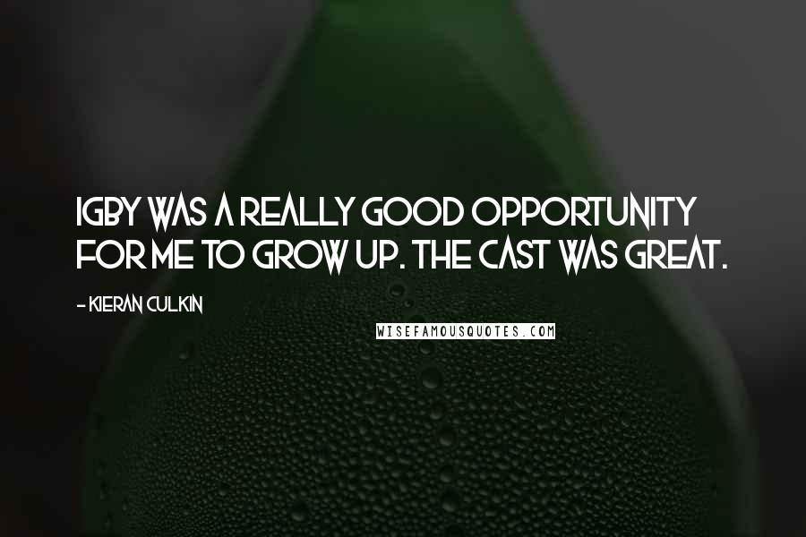 Kieran Culkin Quotes: Igby was a really good opportunity for me to grow up. The cast was great.