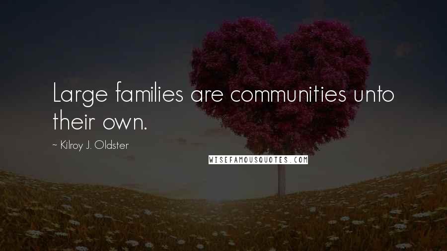 Kilroy J. Oldster Quotes: Large families are communities unto their own.