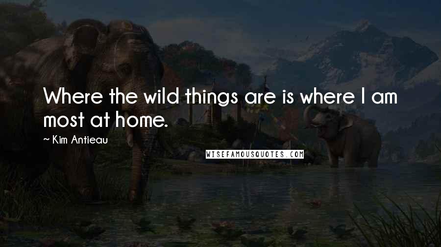 Kim Antieau Quotes: Where the wild things are is where I am most at home.