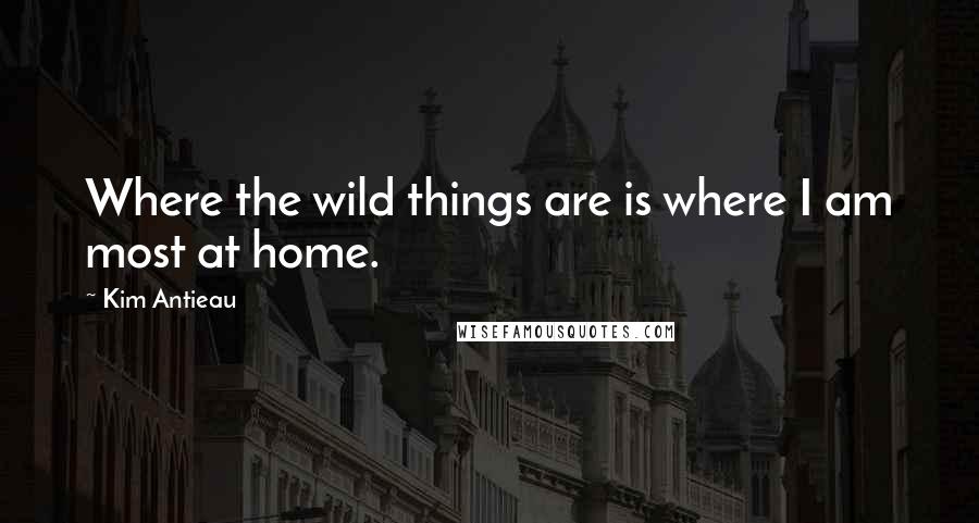 Kim Antieau Quotes: Where the wild things are is where I am most at home.