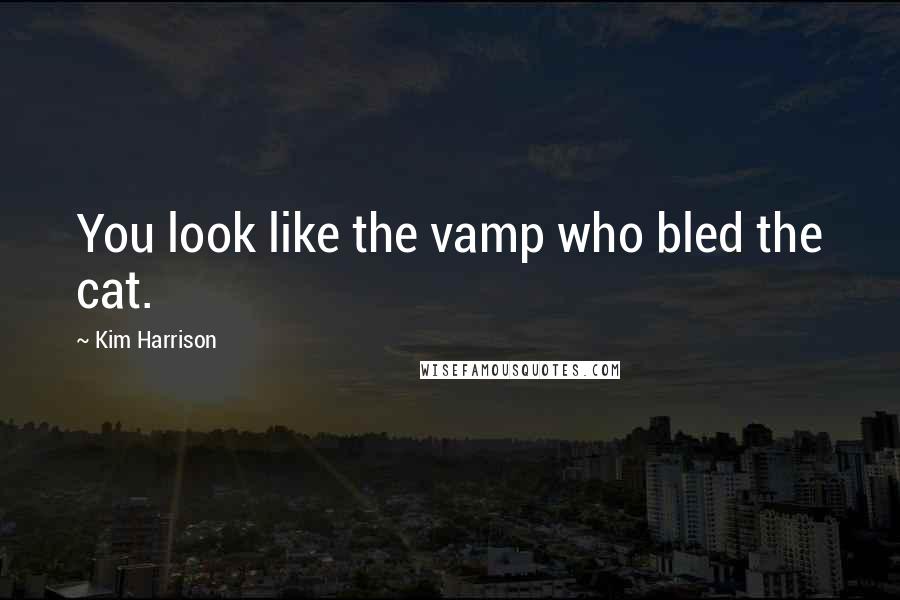 Kim Harrison Quotes: You look like the vamp who bled the cat.