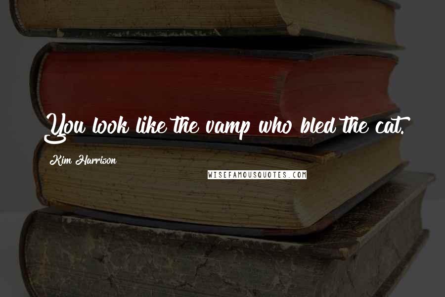 Kim Harrison Quotes: You look like the vamp who bled the cat.