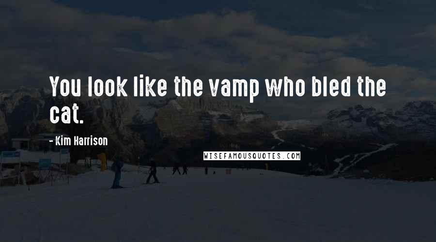 Kim Harrison Quotes: You look like the vamp who bled the cat.