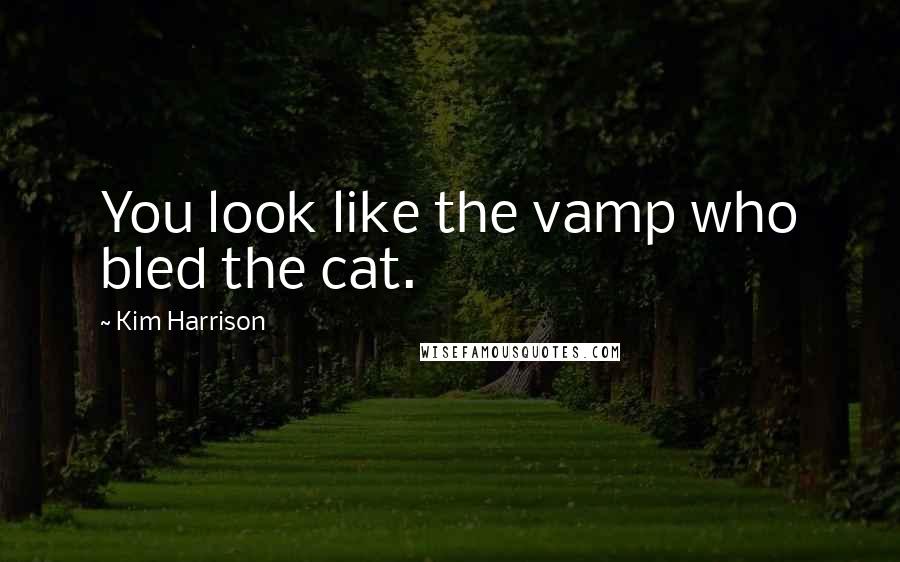 Kim Harrison Quotes: You look like the vamp who bled the cat.