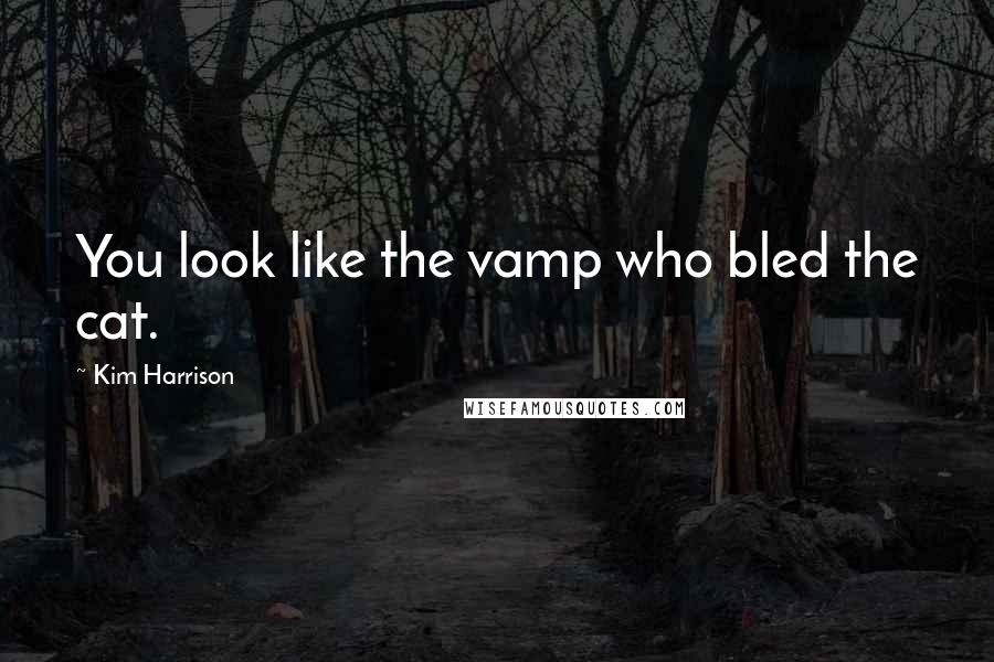 Kim Harrison Quotes: You look like the vamp who bled the cat.