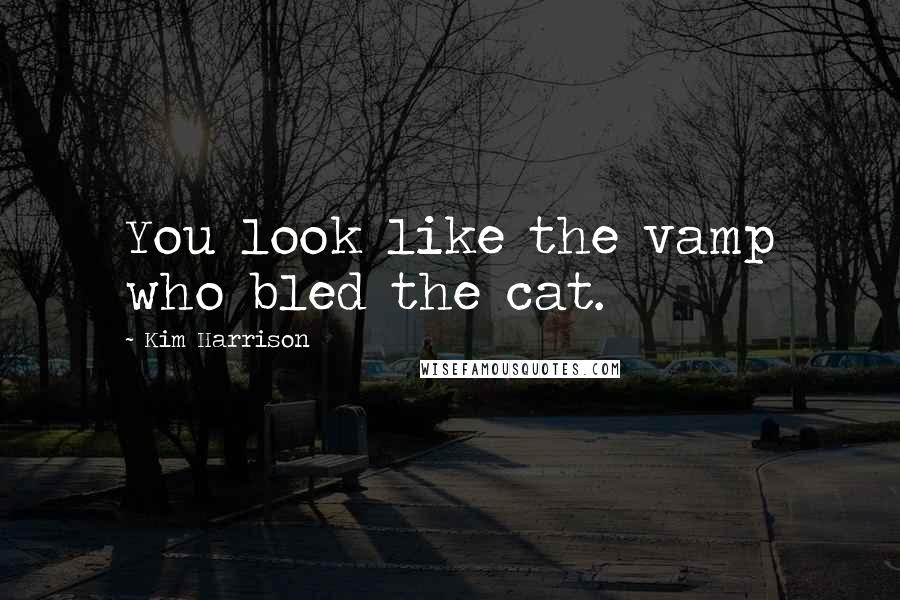 Kim Harrison Quotes: You look like the vamp who bled the cat.