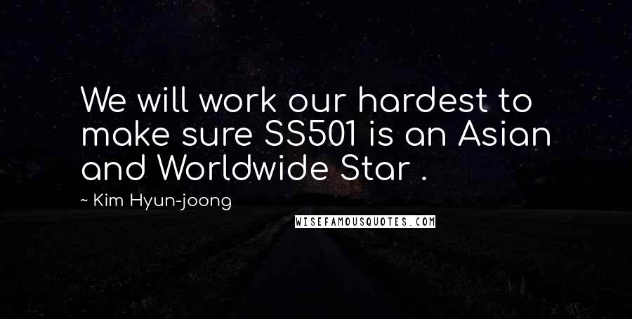 Kim Hyun-joong Quotes: We will work our hardest to make sure SS501 is an Asian and Worldwide Star .