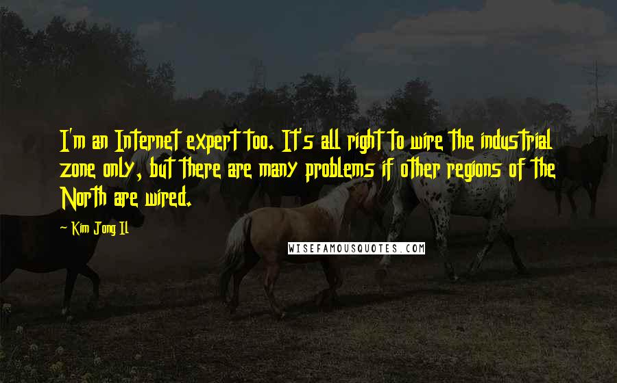 Kim Jong Il Quotes: I'm an Internet expert too. It's all right to wire the industrial zone only, but there are many problems if other regions of the North are wired.