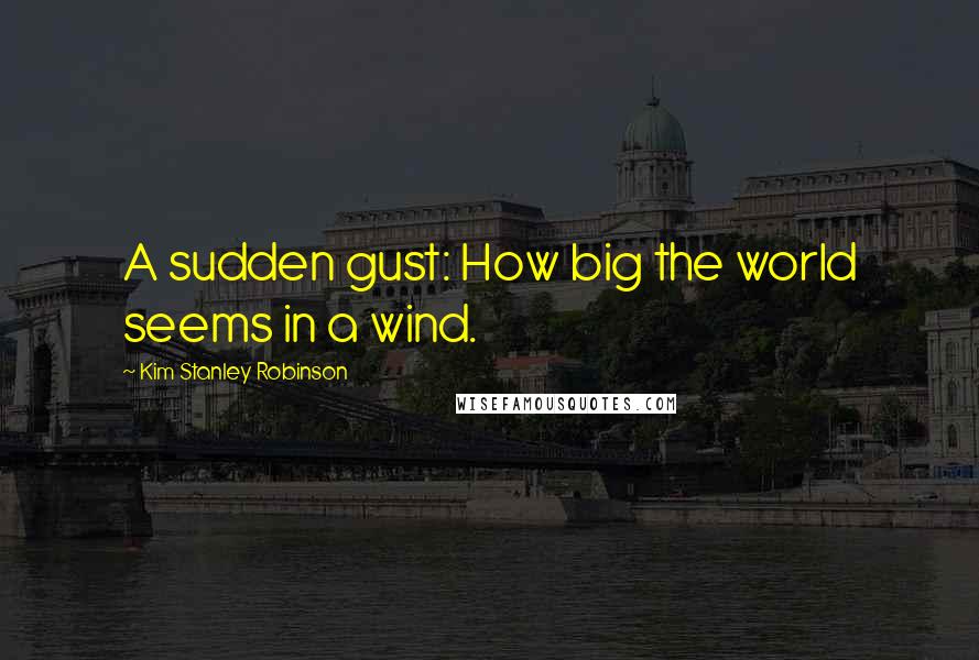 Kim Stanley Robinson Quotes: A sudden gust: How big the world seems in a wind.
