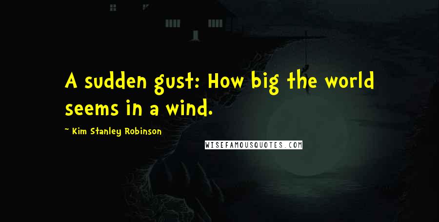 Kim Stanley Robinson Quotes: A sudden gust: How big the world seems in a wind.