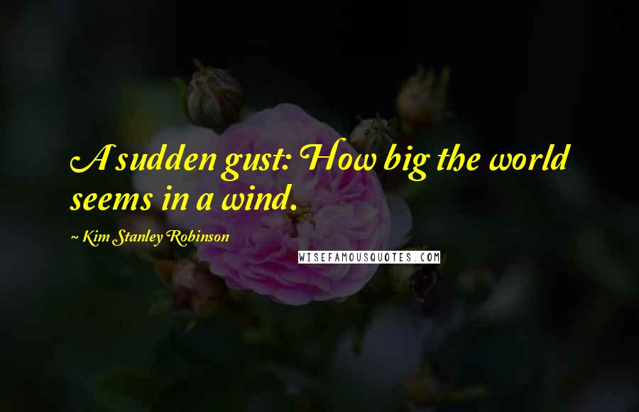 Kim Stanley Robinson Quotes: A sudden gust: How big the world seems in a wind.