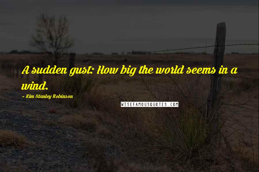 Kim Stanley Robinson Quotes: A sudden gust: How big the world seems in a wind.