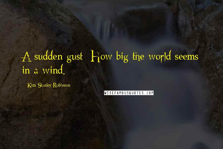 Kim Stanley Robinson Quotes: A sudden gust: How big the world seems in a wind.