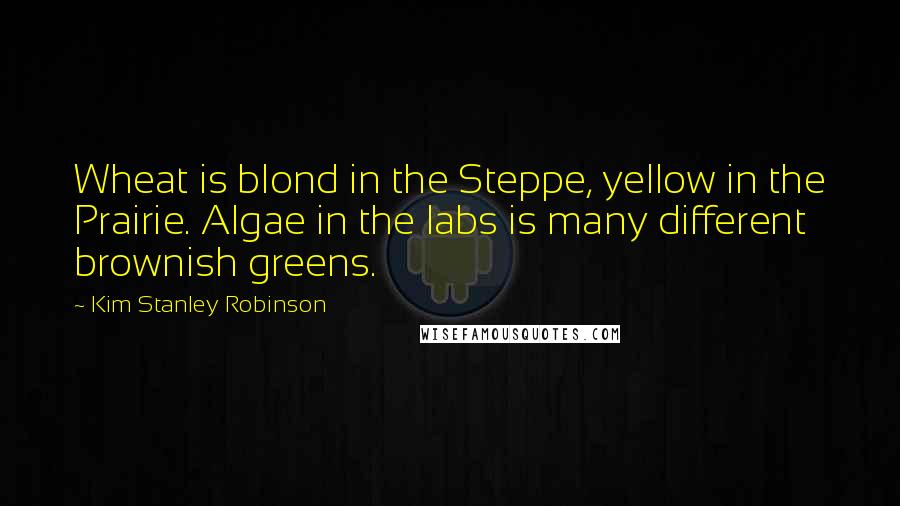 Kim Stanley Robinson Quotes: Wheat is blond in the Steppe, yellow in the Prairie. Algae in the labs is many different brownish greens.