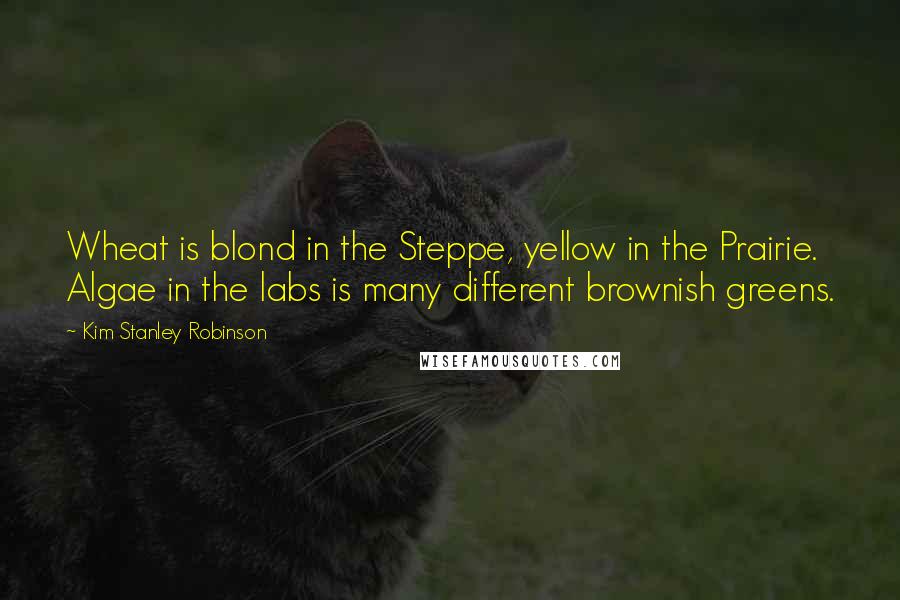 Kim Stanley Robinson Quotes: Wheat is blond in the Steppe, yellow in the Prairie. Algae in the labs is many different brownish greens.