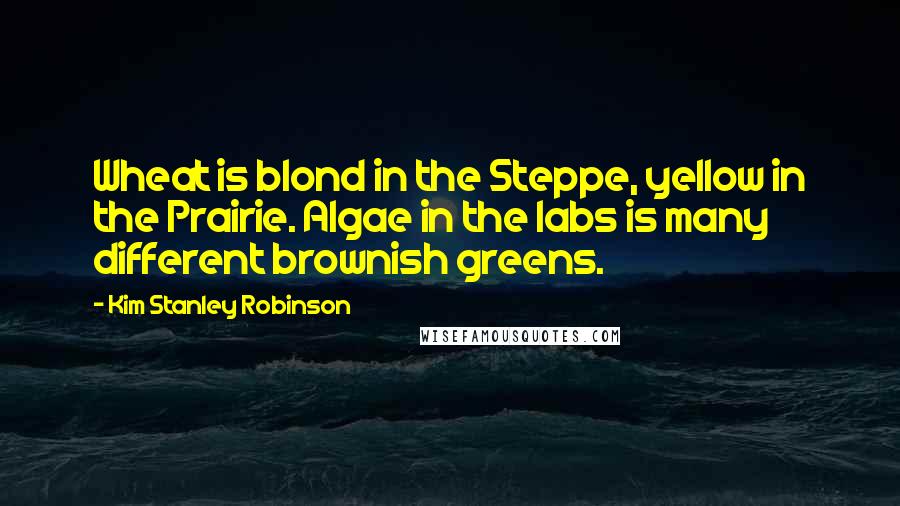 Kim Stanley Robinson Quotes: Wheat is blond in the Steppe, yellow in the Prairie. Algae in the labs is many different brownish greens.