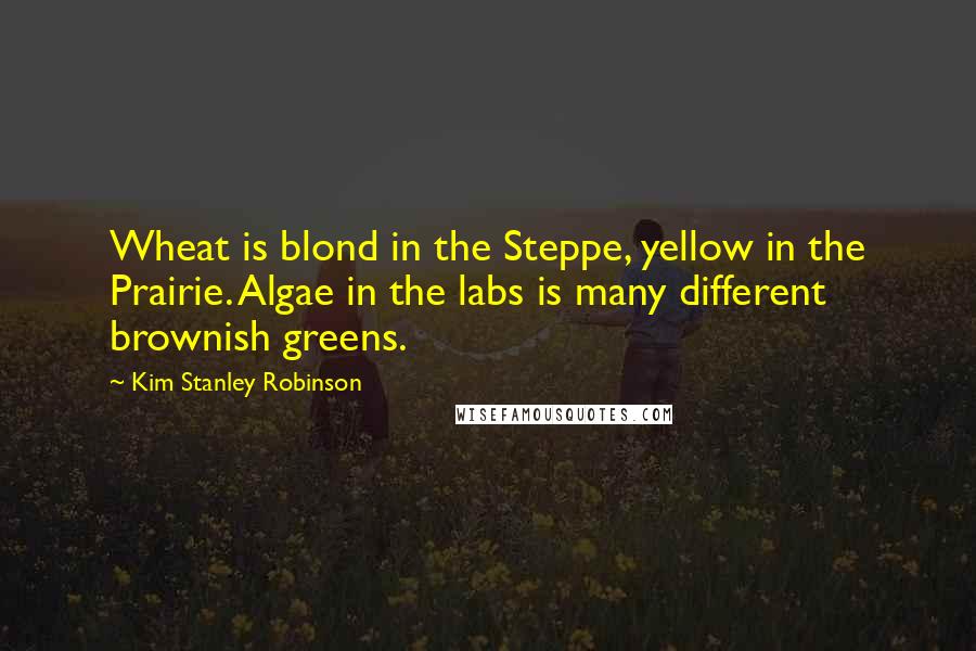 Kim Stanley Robinson Quotes: Wheat is blond in the Steppe, yellow in the Prairie. Algae in the labs is many different brownish greens.