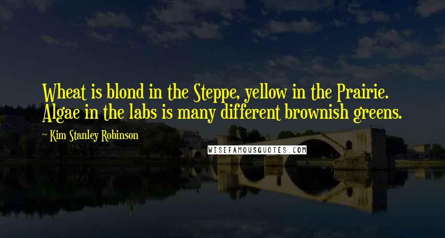 Kim Stanley Robinson Quotes: Wheat is blond in the Steppe, yellow in the Prairie. Algae in the labs is many different brownish greens.