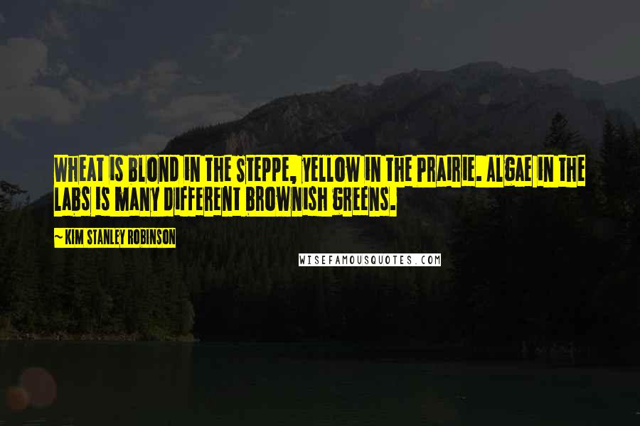 Kim Stanley Robinson Quotes: Wheat is blond in the Steppe, yellow in the Prairie. Algae in the labs is many different brownish greens.