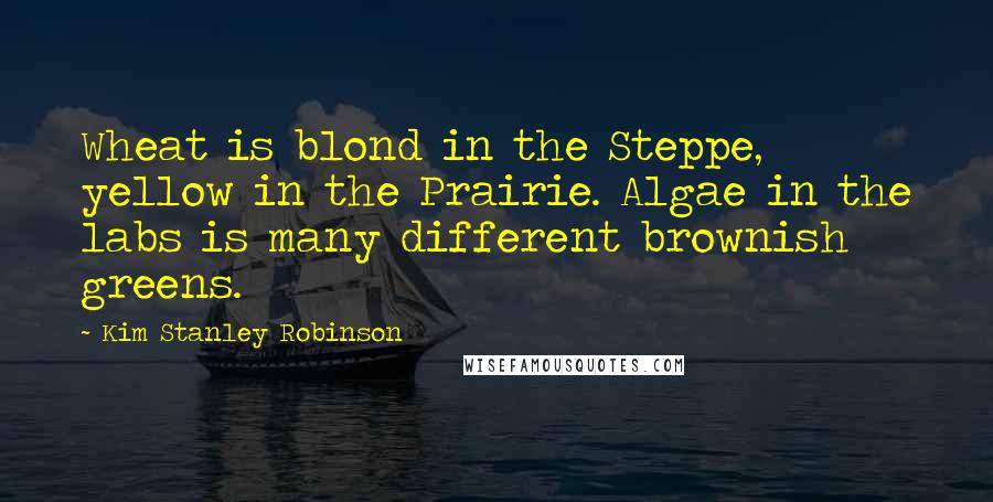 Kim Stanley Robinson Quotes: Wheat is blond in the Steppe, yellow in the Prairie. Algae in the labs is many different brownish greens.