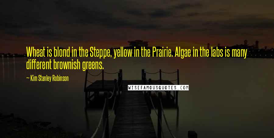 Kim Stanley Robinson Quotes: Wheat is blond in the Steppe, yellow in the Prairie. Algae in the labs is many different brownish greens.