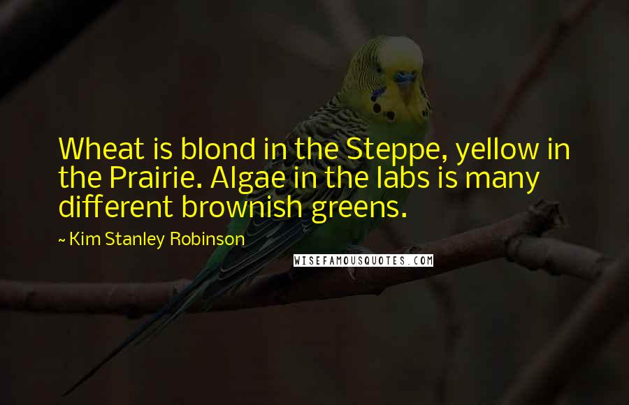 Kim Stanley Robinson Quotes: Wheat is blond in the Steppe, yellow in the Prairie. Algae in the labs is many different brownish greens.