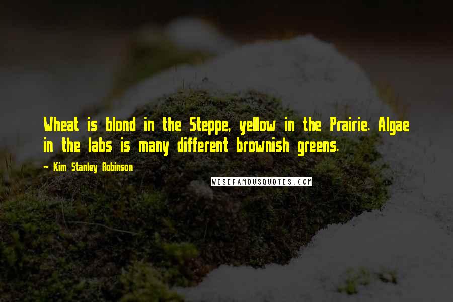 Kim Stanley Robinson Quotes: Wheat is blond in the Steppe, yellow in the Prairie. Algae in the labs is many different brownish greens.