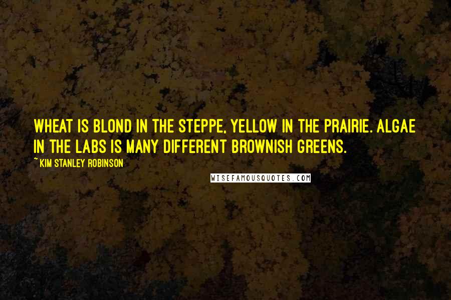 Kim Stanley Robinson Quotes: Wheat is blond in the Steppe, yellow in the Prairie. Algae in the labs is many different brownish greens.