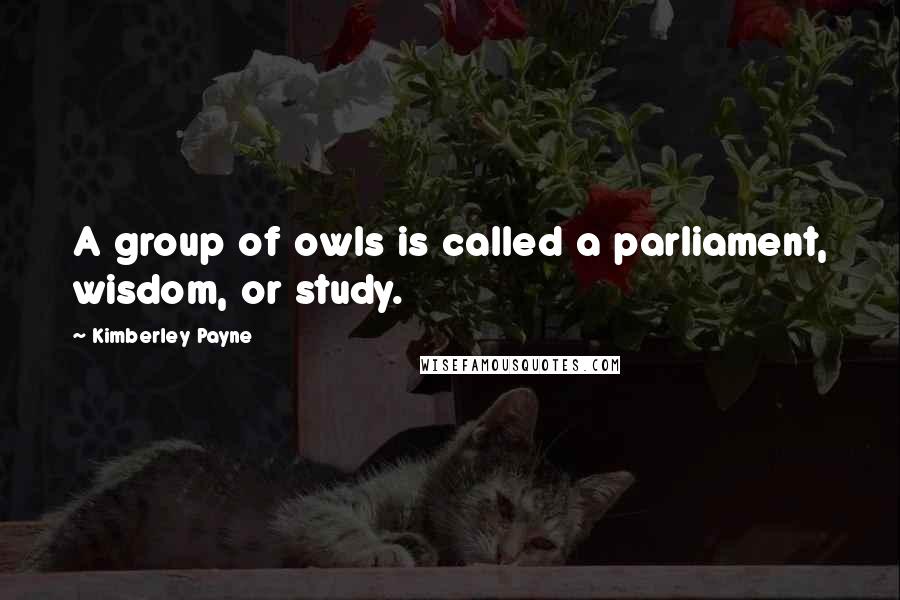 Kimberley Payne Quotes: A group of owls is called a parliament, wisdom, or study.